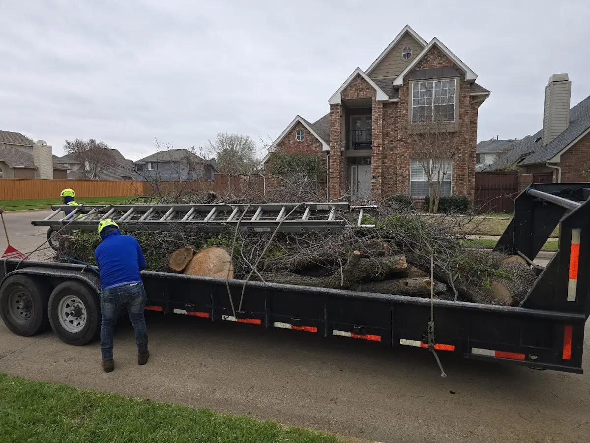 Expert Tree Removal with proper safety equipment in Wamsutter